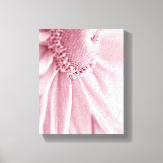 Gloriosa Daisy Macro Canvas Afdruk (Voorkant)