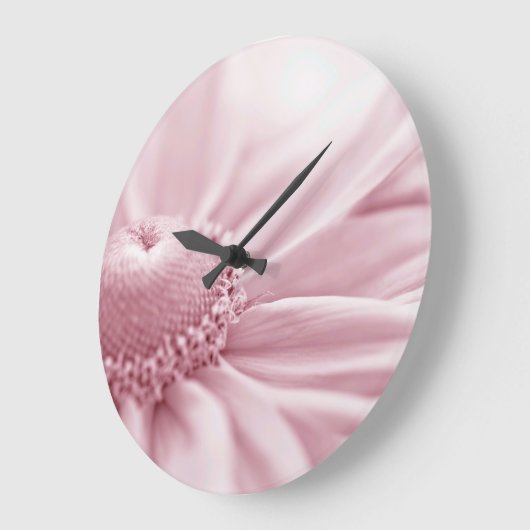 Gloriosa Daisy Macro Grote Klok (Hoek)