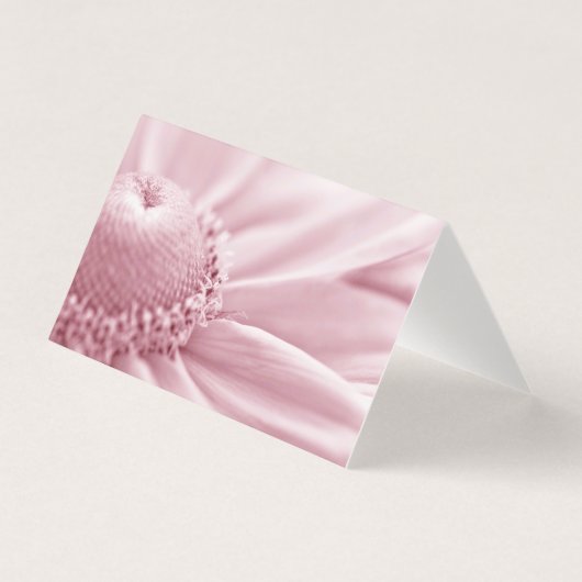 Gloriosa Daisy Macro Kaart (Voorkant)