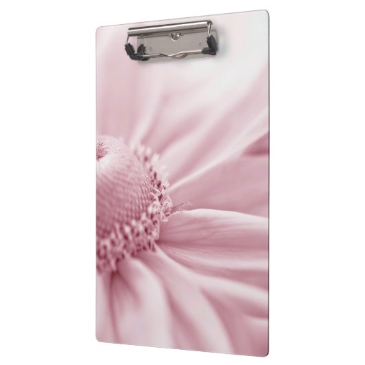 Gloriosa Daisy Macro Klembord (Links)