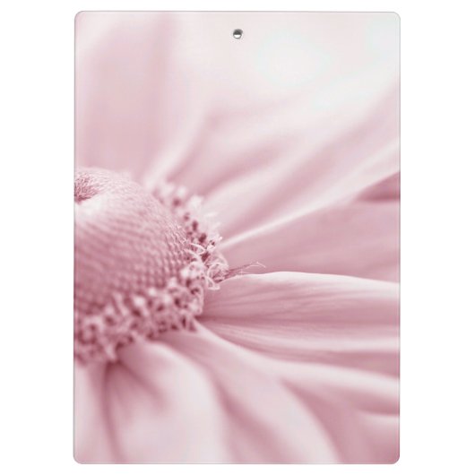 Gloriosa Daisy Macro Klembord (Achterkant)