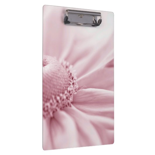 Gloriosa Daisy Macro Klembord (Rechts)