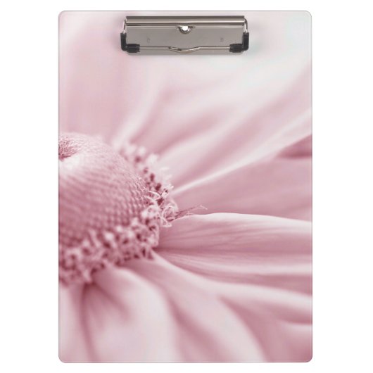 Gloriosa Daisy Macro Klembord (Voorkant)