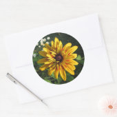 Gloriosa Daisy Multiple Petals Ronde Sticker (Envelop)
