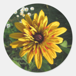 Gloriosa Daisy Multiple Petals Ronde Sticker
