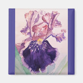 Glorioues Paarse Iris Waterverf Painting Magneet (Voorkant)