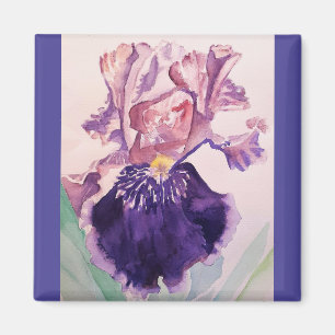 Glorioues Paarse Iris Waterverf Painting Magneet