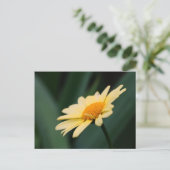 Glorious Daisy Flower Photography Briefkaart (Staand voorkant)