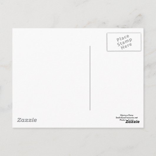 Glorious Daisy Flower Photography Briefkaart (Achterkant)