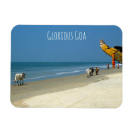 Glorious Goa - koeien op het strand in South Goa Magneet