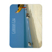 Glorious Goa - koeien op het strand in South Goa Magneet (Verticaal)