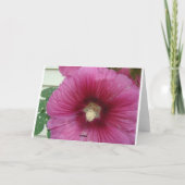 Glorious Hollyhocks Kaart (Achterkant)