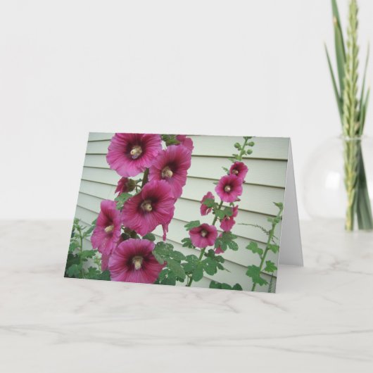 Glorious Hollyhocks Kaart (Voorkant)