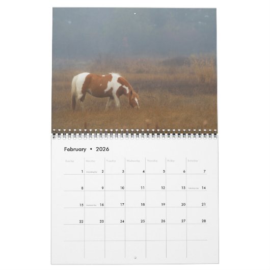 Glorious Horses Kalender (Feb 2026)