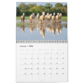 Glorious Horses Kalender (Jan 2026)