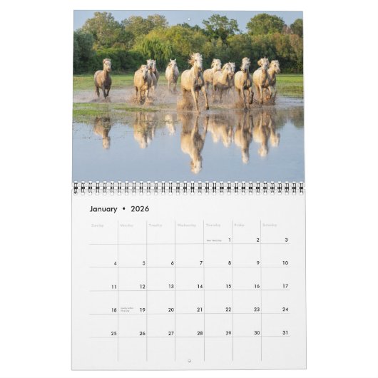 Glorious Horses Kalender (Jan 2026)