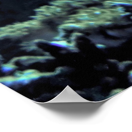 Glorious Lionfish Poster (Hoek)