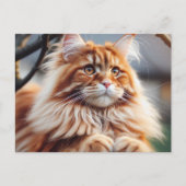 Glorious Maine Coon Briefkaart (Voorkant)