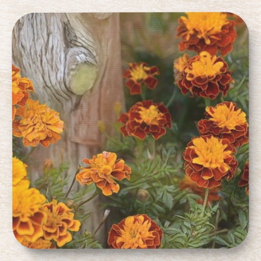 Glorious Marigolds Bier Onderzetter (Voorkant)