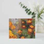 Glorious Marigolds Briefkaart (Staand voorkant)