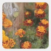 Glorious Marigolds Vierkante Sticker (Voorkant)