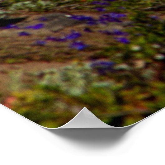 Glorious Morning Poster (Hoek)