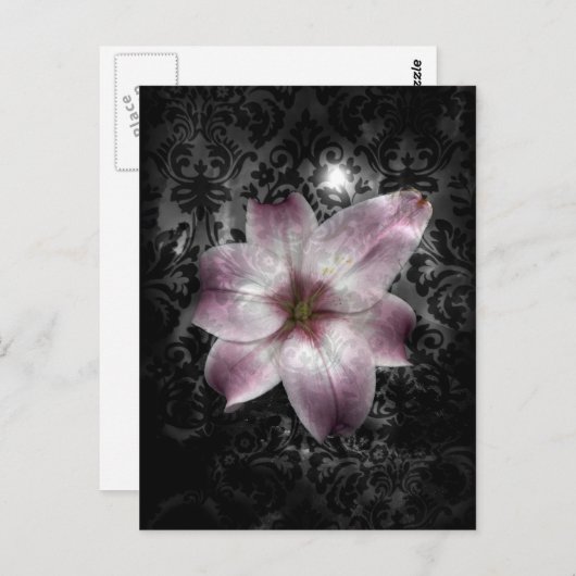 Glorious Mystery Briefkaart (Voorkant / Achterkant)