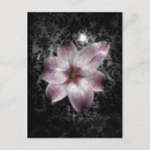 Glorious Mystery Briefkaart (Voorkant)