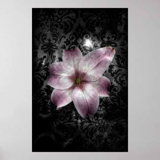 Glorious Mystery Poster (Voorkant)