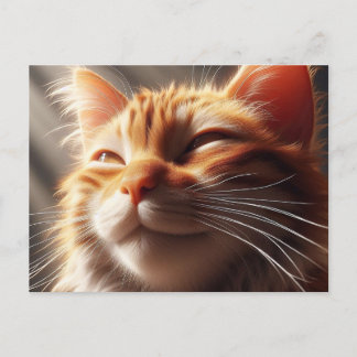Glorious Oranje Cat! Briefkaart