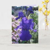 Glorious Paars Iris Photo Floral Birthday Card Kaart (Gele Bloem)