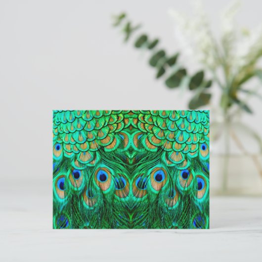 Glorious Peacock Feathers Briefkaart (Staand voorkant)