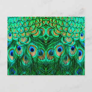 Glorious Peacock Feathers Briefkaart