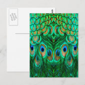 Glorious Peacock Feathers Briefkaart (Voorkant / Achterkant)
