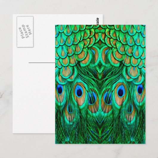 Glorious Peacock Feathers Briefkaart (Voorkant / Achterkant)