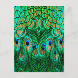 Glorious Peacock Feathers Briefkaart