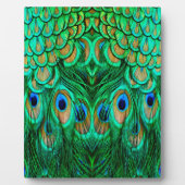 Glorious Peacock Feathers Fotoplaat (Voorkant)