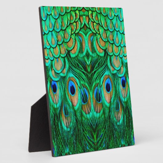 Glorious Peacock Feathers Fotoplaat (Zijkant)