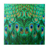 Glorious Peacock Feathers Tegeltje (Voorkant)