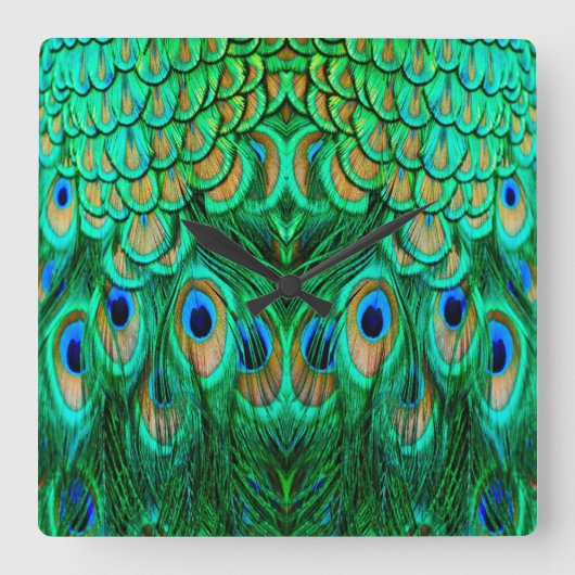 Glorious Peacock Feathers Vierkante Klok (Voorkant)