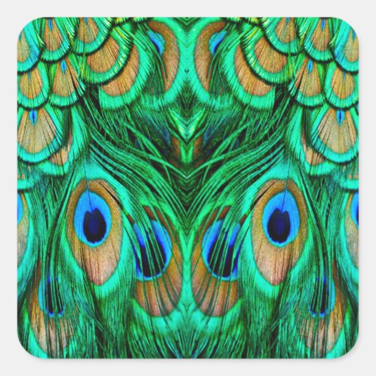 Glorious Peacock Feathers Vierkante Sticker (Voorkant)