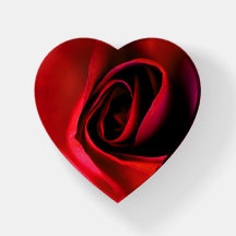 Glorious Red Rose Paperweight