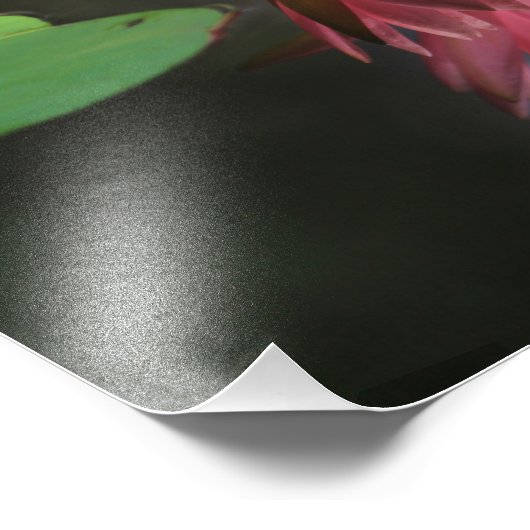 Glorious Reflections Foto Afdruk (Hoek)