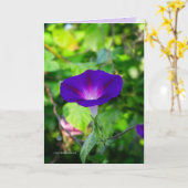 Glorious Solo Kaart (Gele Bloem)