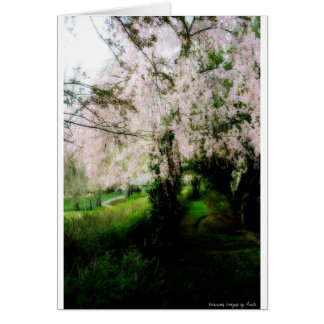 Glorious Spring Card