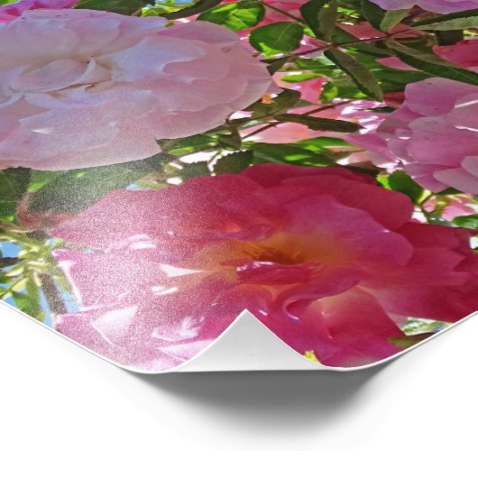 Glorious Spring Flowers Foto Afdruk (Hoek)