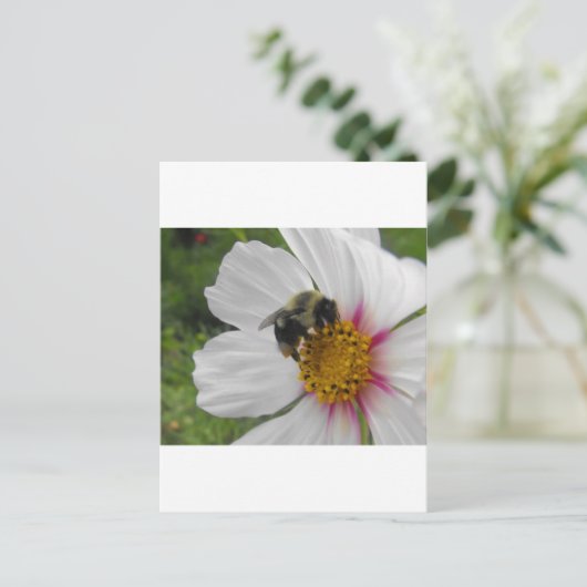 Glory Bee Briefkaart (Staand voorkant)