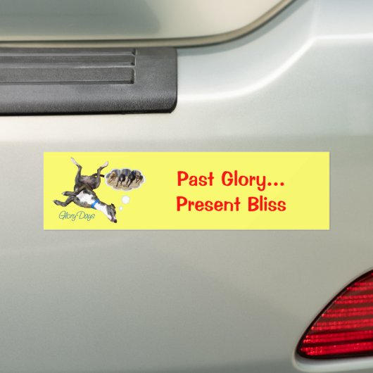 Glory Days Bumpersticker (Op auto)