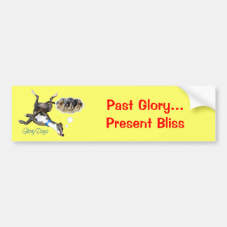 Glory Days Bumpersticker