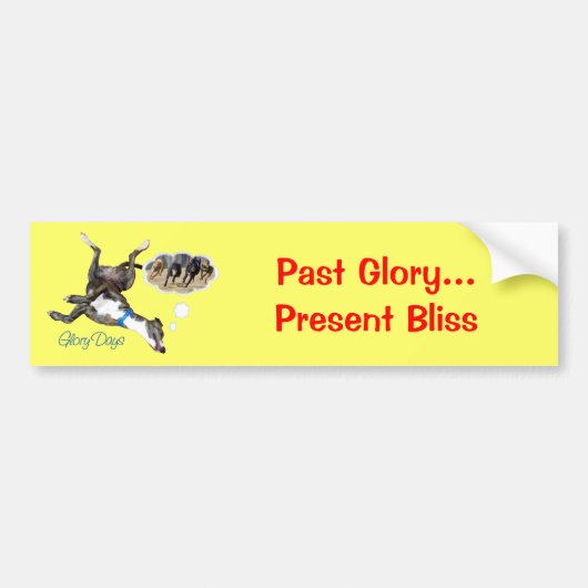 Glory Days Bumpersticker (Voorkant)